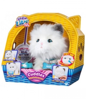 Little Live Pets Dolce Gattino